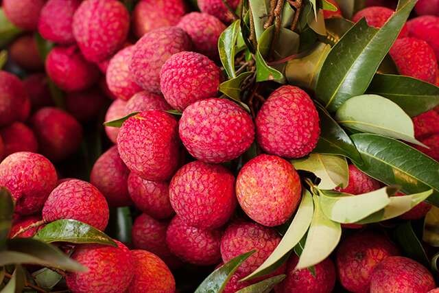 Boombai lychee
